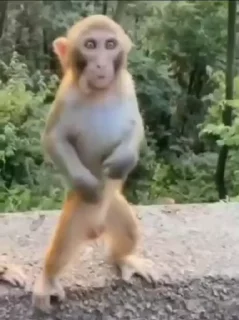 🤩