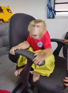🤩