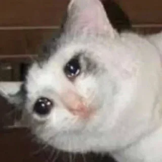 🥺