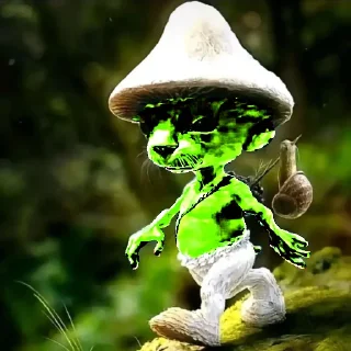 🍄