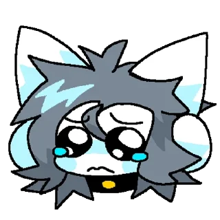😿