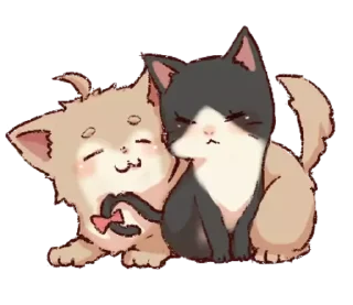 💗