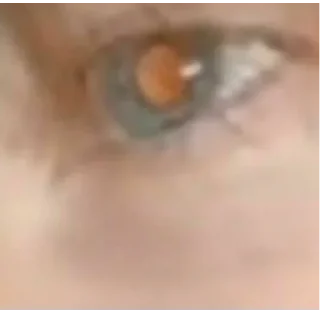 👀