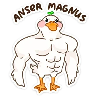 💪