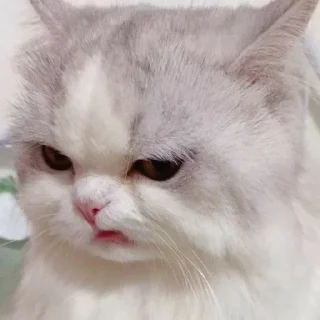 😒