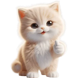👍