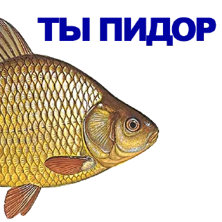 🐠