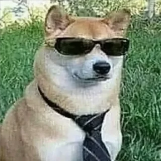 😎