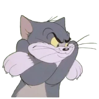 ✋️