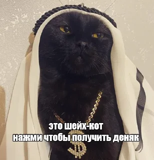 🤑