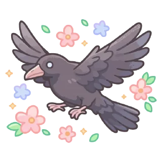 🐦‍⬛️