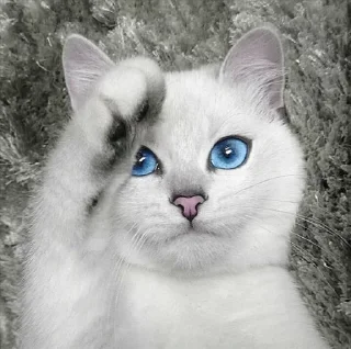 💙