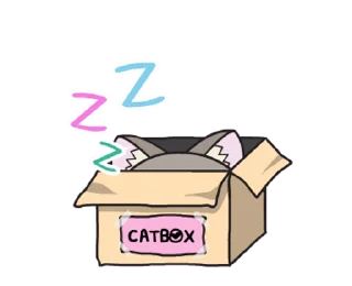 😴