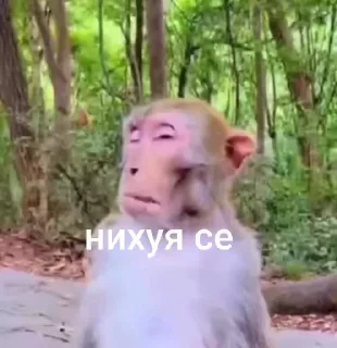 😒