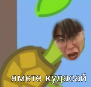 🤍