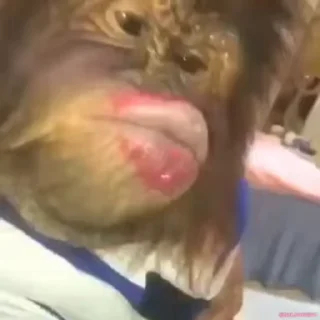 😘
