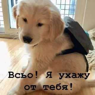 😠