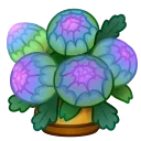 💐
