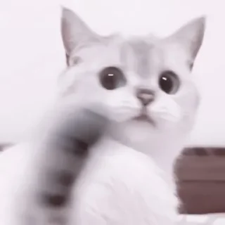 😏
