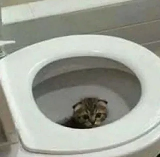 😳
