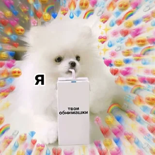 🥤