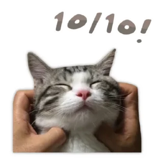 🥰