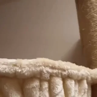 😊