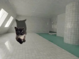 😨