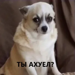 🤬