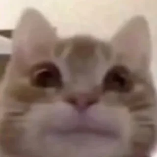 😐