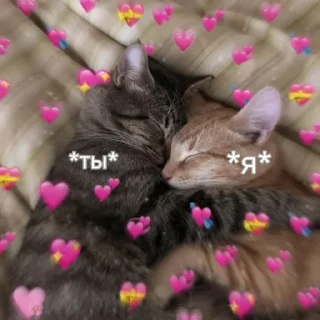 🫂