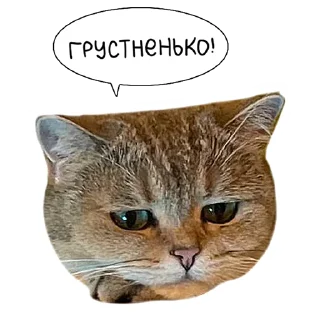 😥