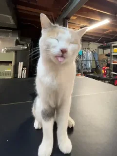 😝