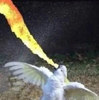 🔥