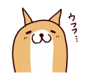 🐶