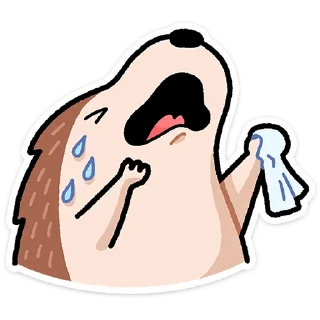 😭