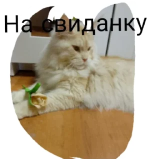 🥰