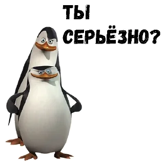 Penguin @stickersb2b