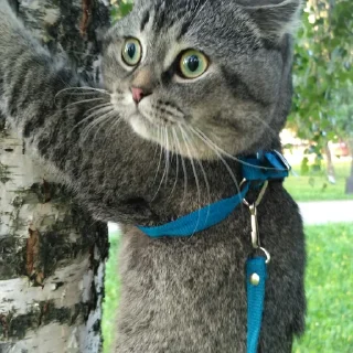 😳