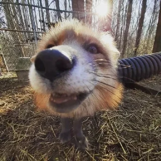 😀