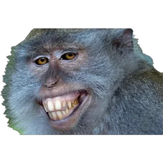 😏