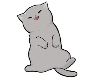 🐱