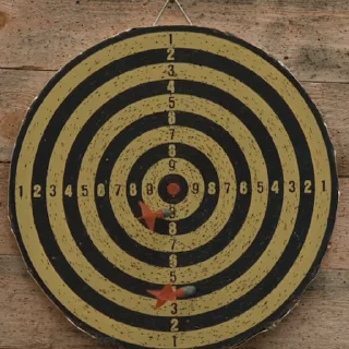 🎯