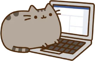 💻