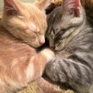 💗