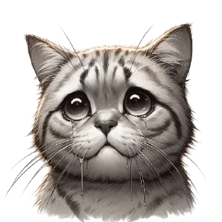 🐱