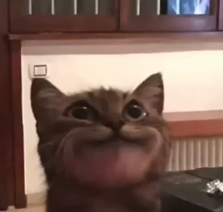 😊