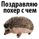 😂
