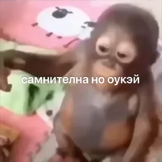 🧐