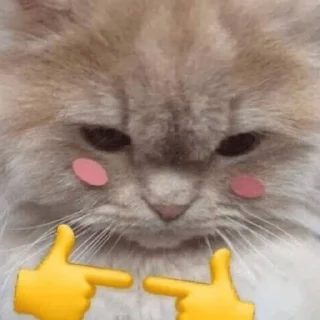 💗